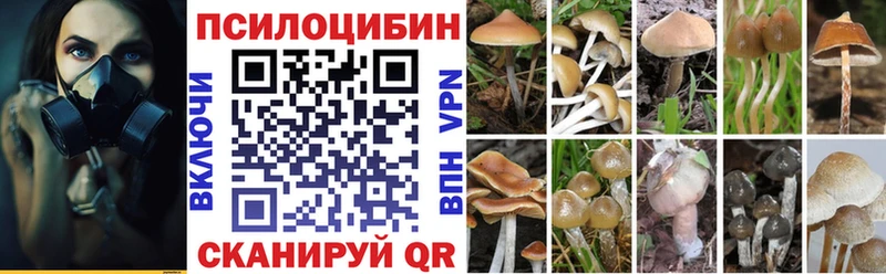 Галлюциногенные грибы Psilocybe  omg как зайти  Сосновка 